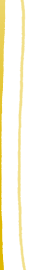 VoIP Phone Service