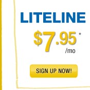 LiteLine lets you use one number to ring all your phones